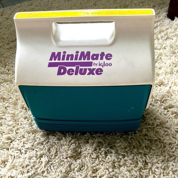 Vintage Igloo Mini Mate Teal and Purple Holds 6 Cans Picnic Beach Pool Ice Chest - Picture 1 of 11